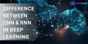 Difference Between CNNs and RNNs in Deep Learning